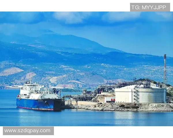 深度探讨周强在王者荣耀中的成长与挑战之路