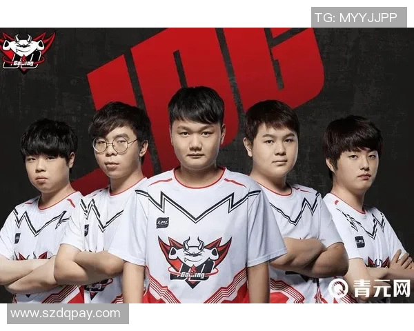 王者荣耀焦点分析：深入探讨JDG战队的比赛经验与策略应用